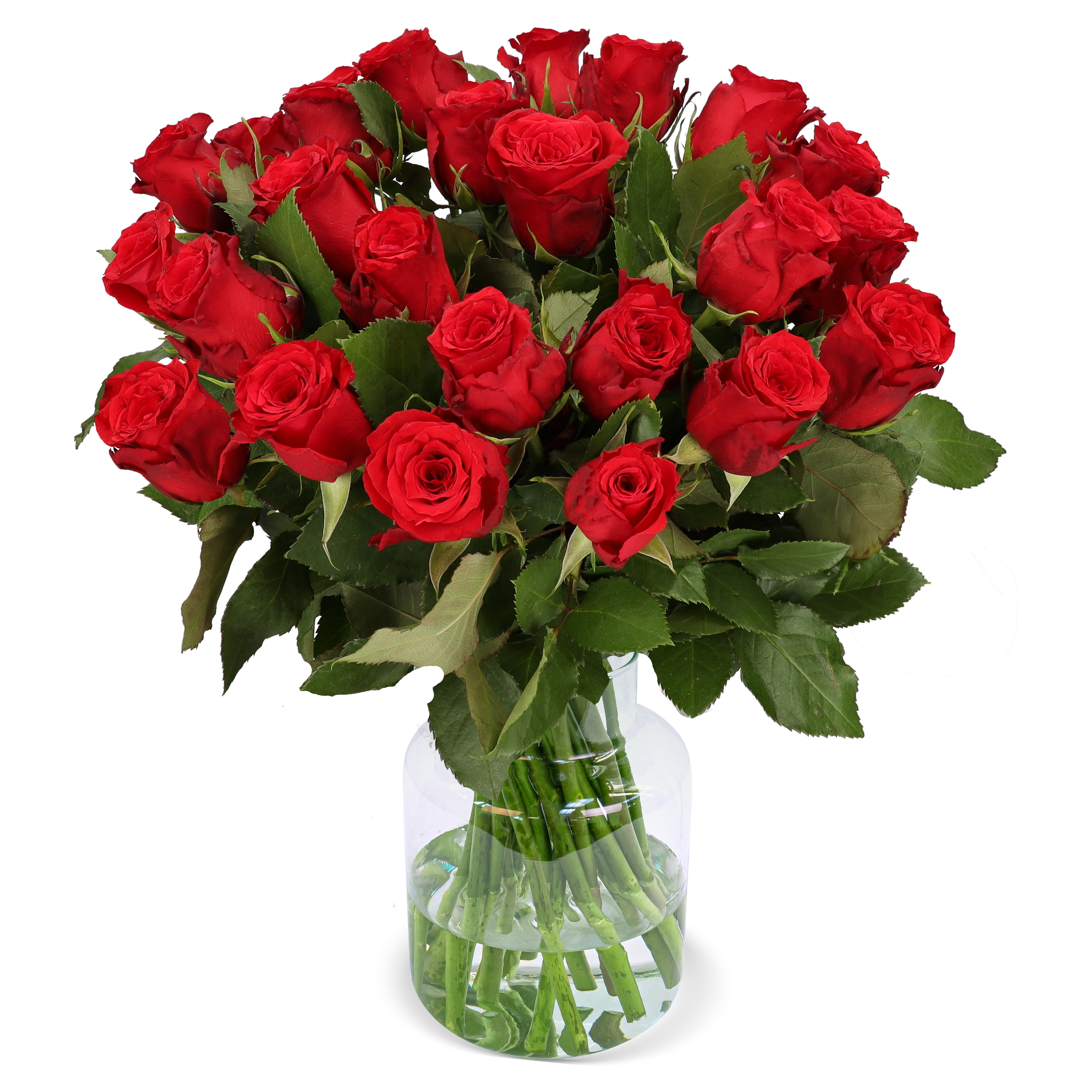 18 Rote Rosen
