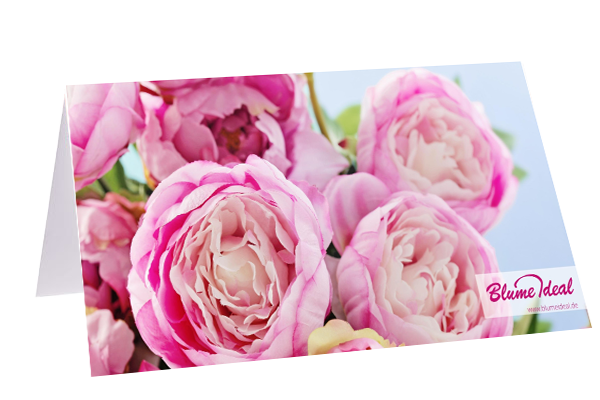 Blume Ideal