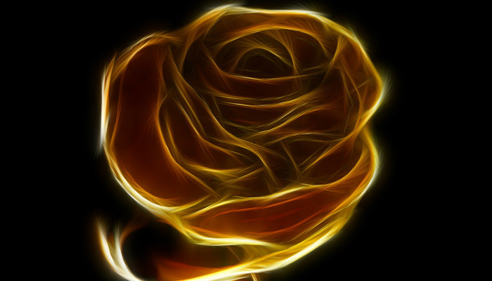 Rosen vergolden - So kannst du Rosen vergolden Rosen vergolden
