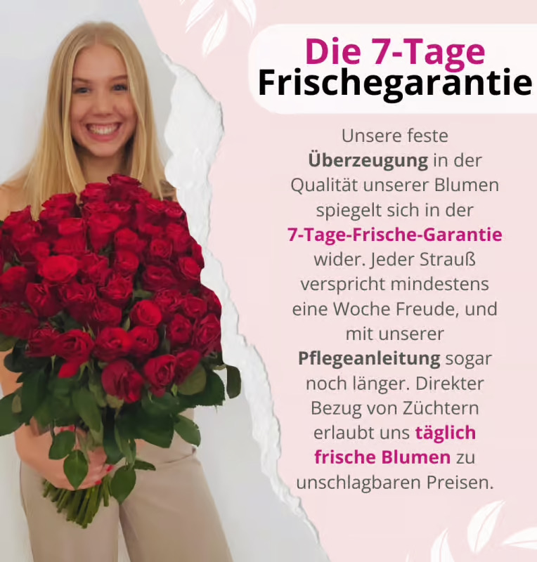 Für dich allein 60 Rosen - “Rosenbeet”