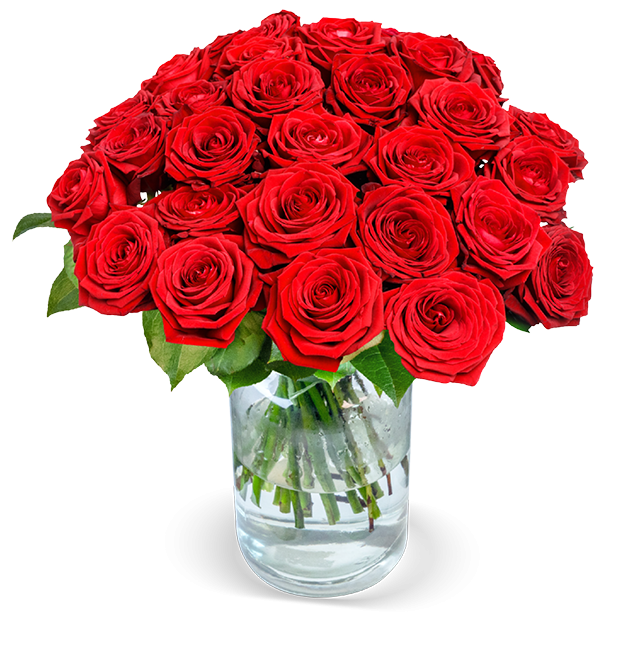 Red Naomi Rosen