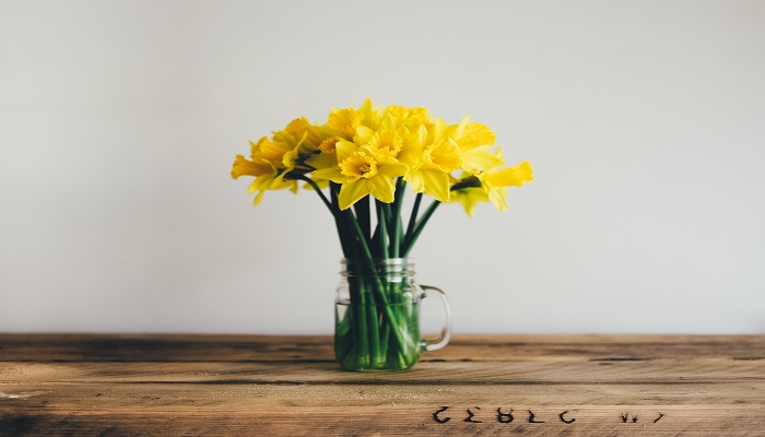 Frische Schnittblumen - Top 5 Tipps zum frisch halten Schnittblumen