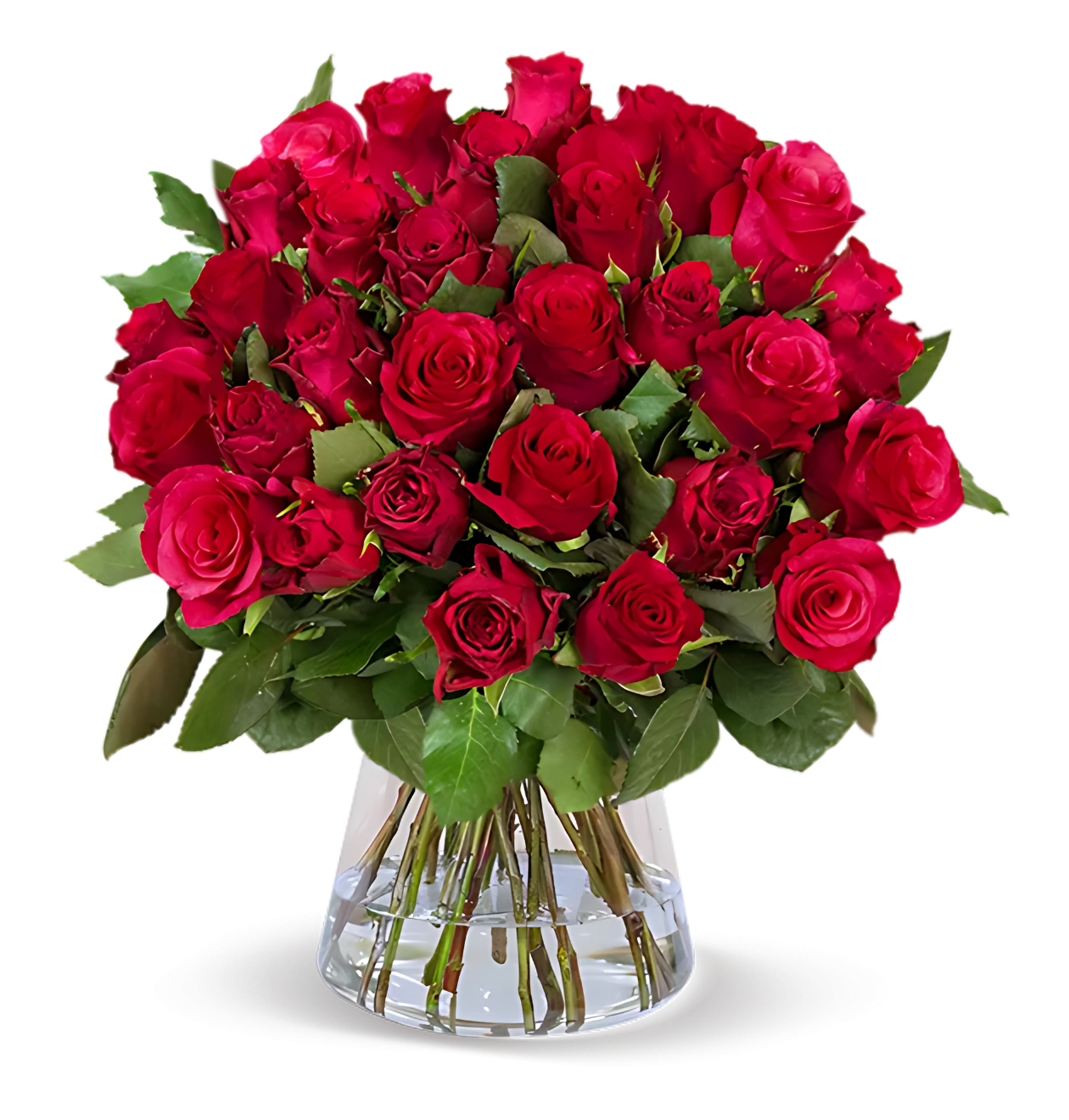 40 rote Rosen