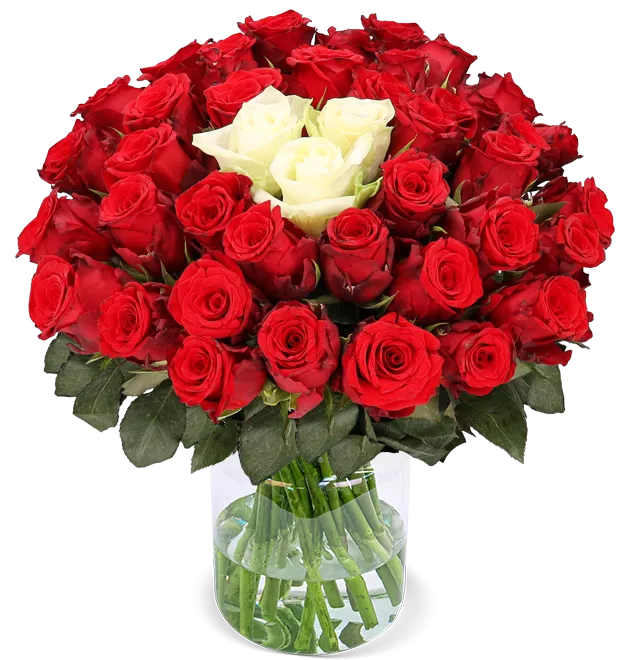 50 Rosen - "Sweetheart"