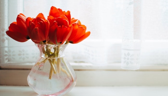 Schnittblumen Pflege - 5 schnelle und einfache Tipps Schnittblumenpflege