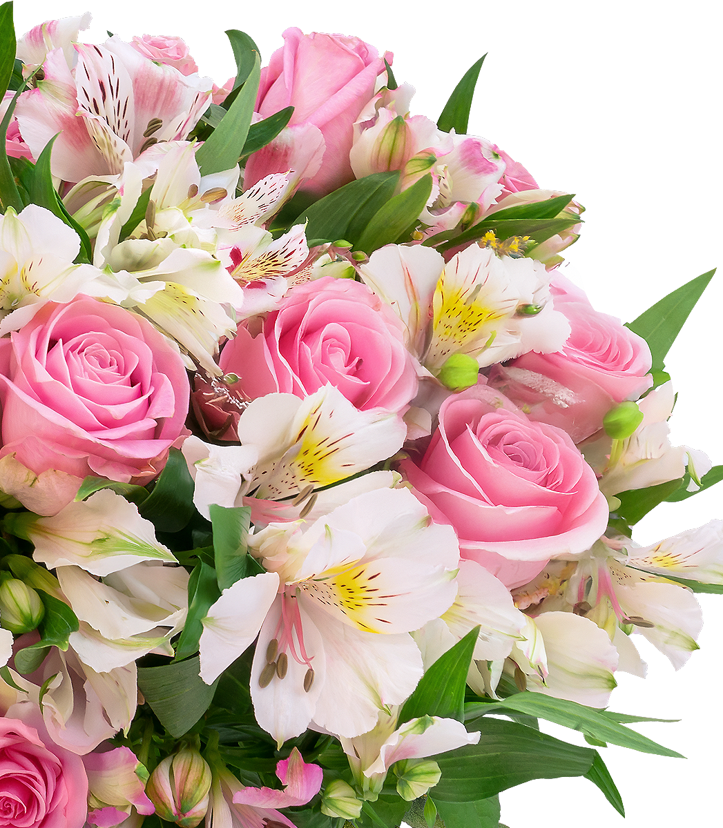 Sweet Surprise mit bis zu 40 Blüten Sweet Surprise mit bis zu 40 Blüten