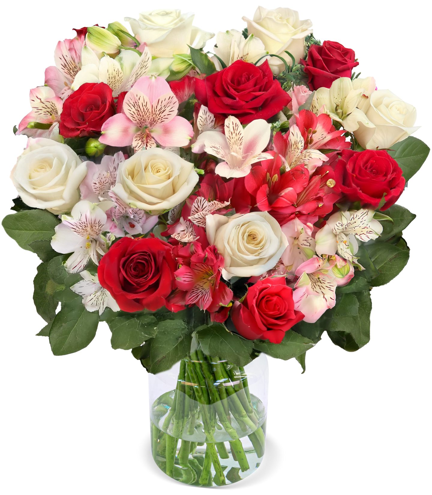 Wonderwoman mit bis zu 40 Blüten  Wonderwoman mit bis zu 40 Blüten