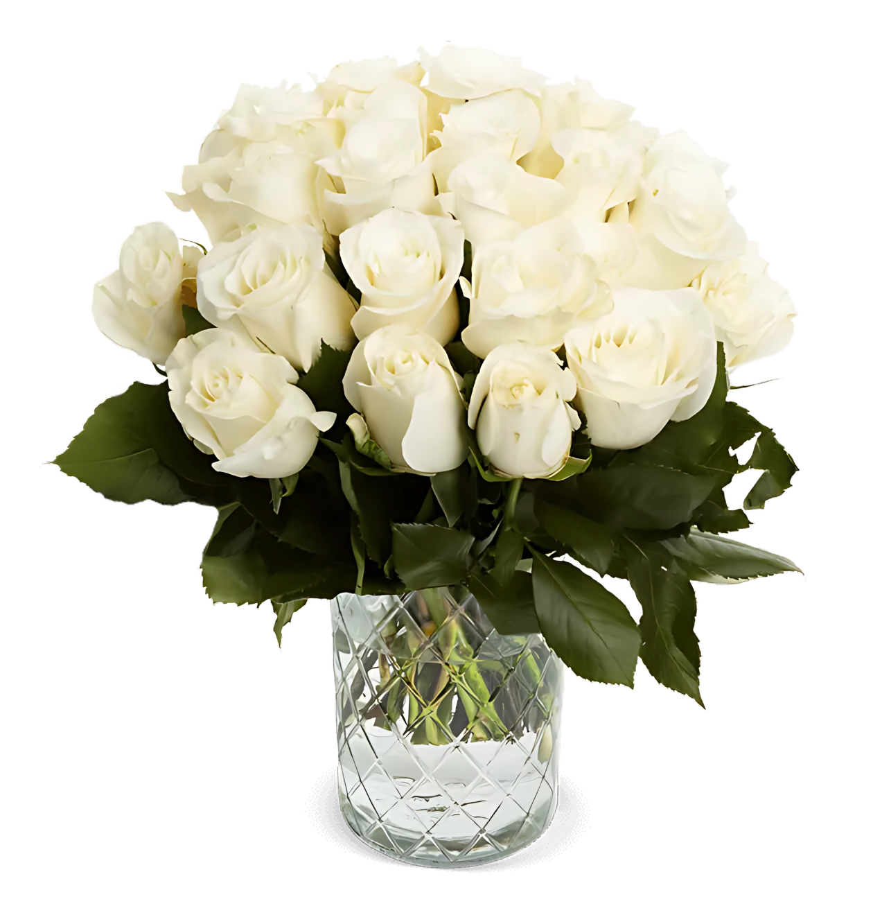 50 weiße Rosen