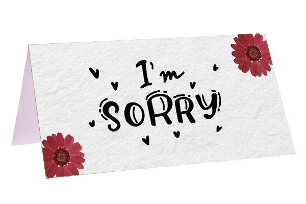 I'm sorry I'm sorry