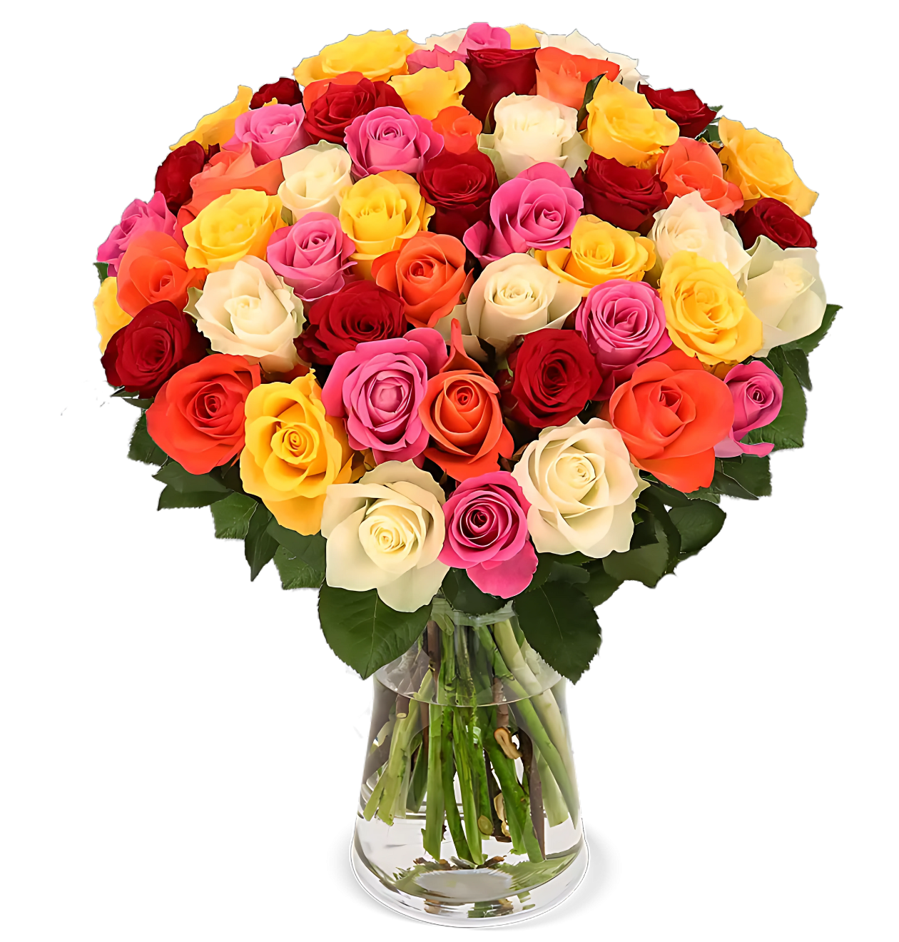10 bunte Rosen
