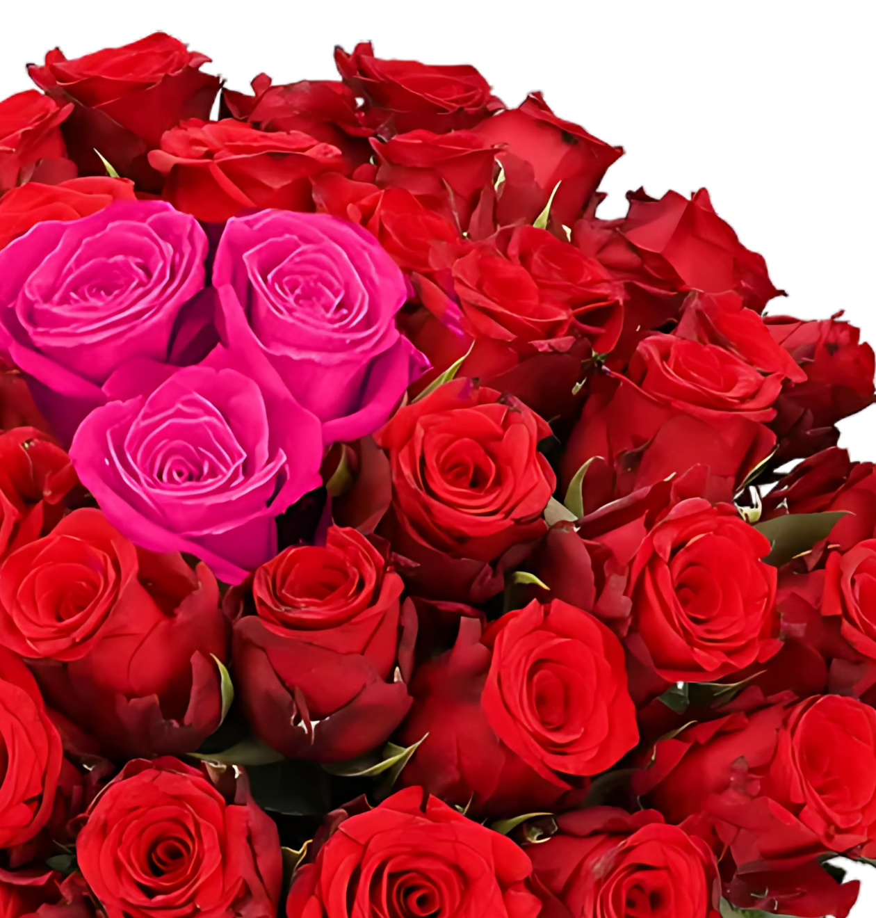 60 Rosen - “Heartbeat”