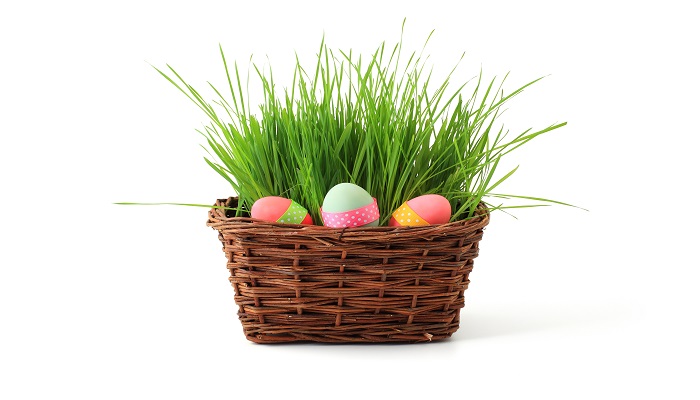 Blumen zu Ostern - Wissen und Hintergründe zum Osterfest Osterdekoration