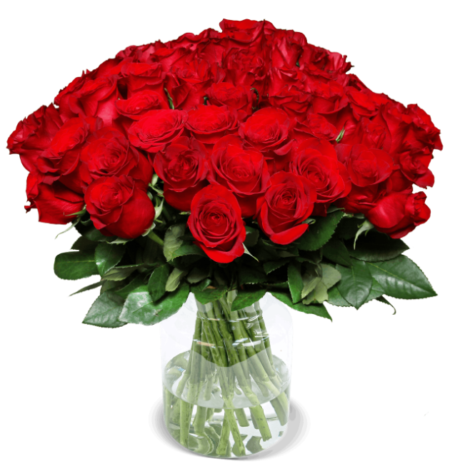 31 Rote Rosen