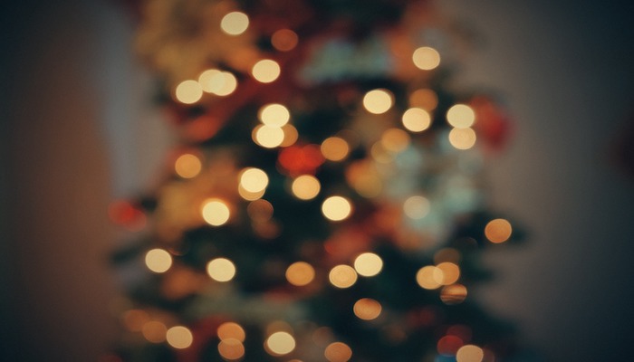 Weihnachtsbaum entsorgen - Hierauf solltest du unbedingt achten! Weihnachtsbaum entsorgen