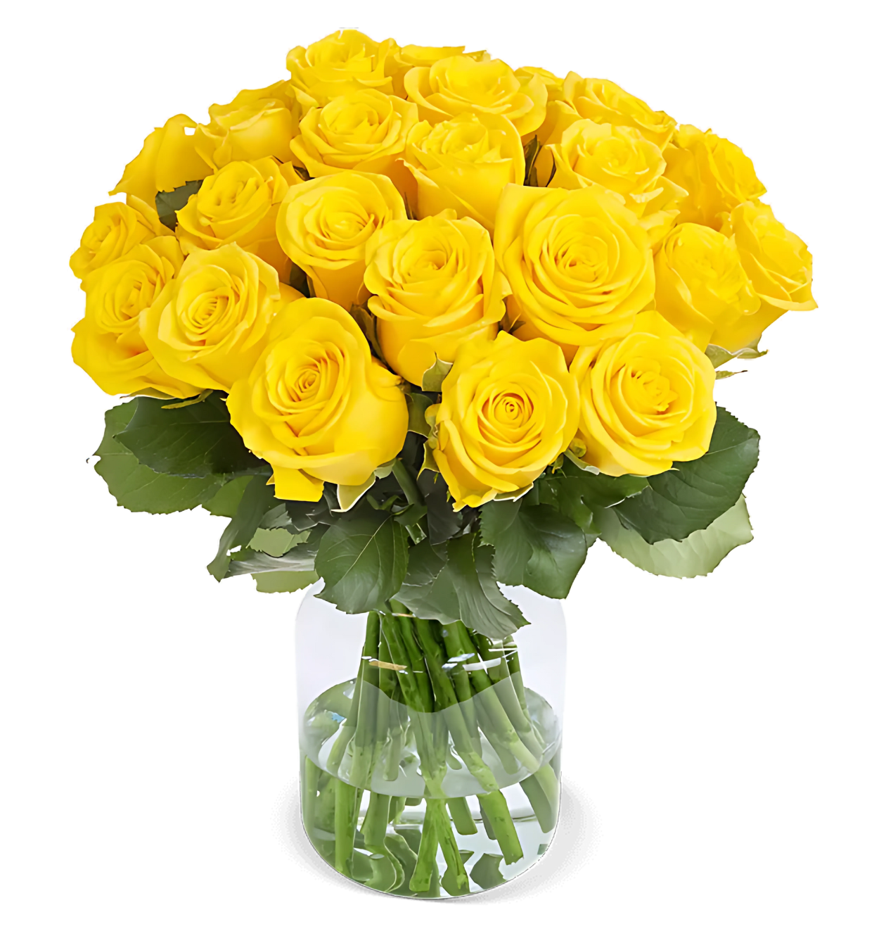10 gelbe Rosen