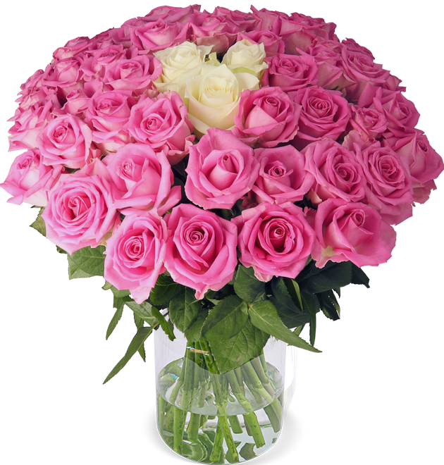 50 Rosen - "Barbie-Special"