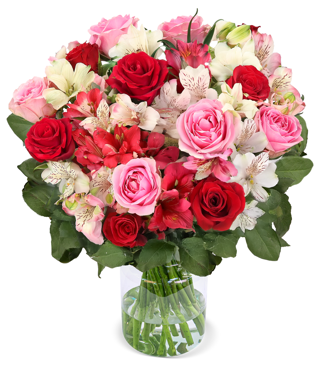 Rosenwunder mit bis zu 40 Blüten Rosenwunder mit bis zu 40 Blüten