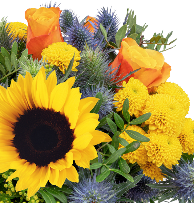 Blumenstrauß Sonnenkuss Blumenstrauß Sonnenkuss