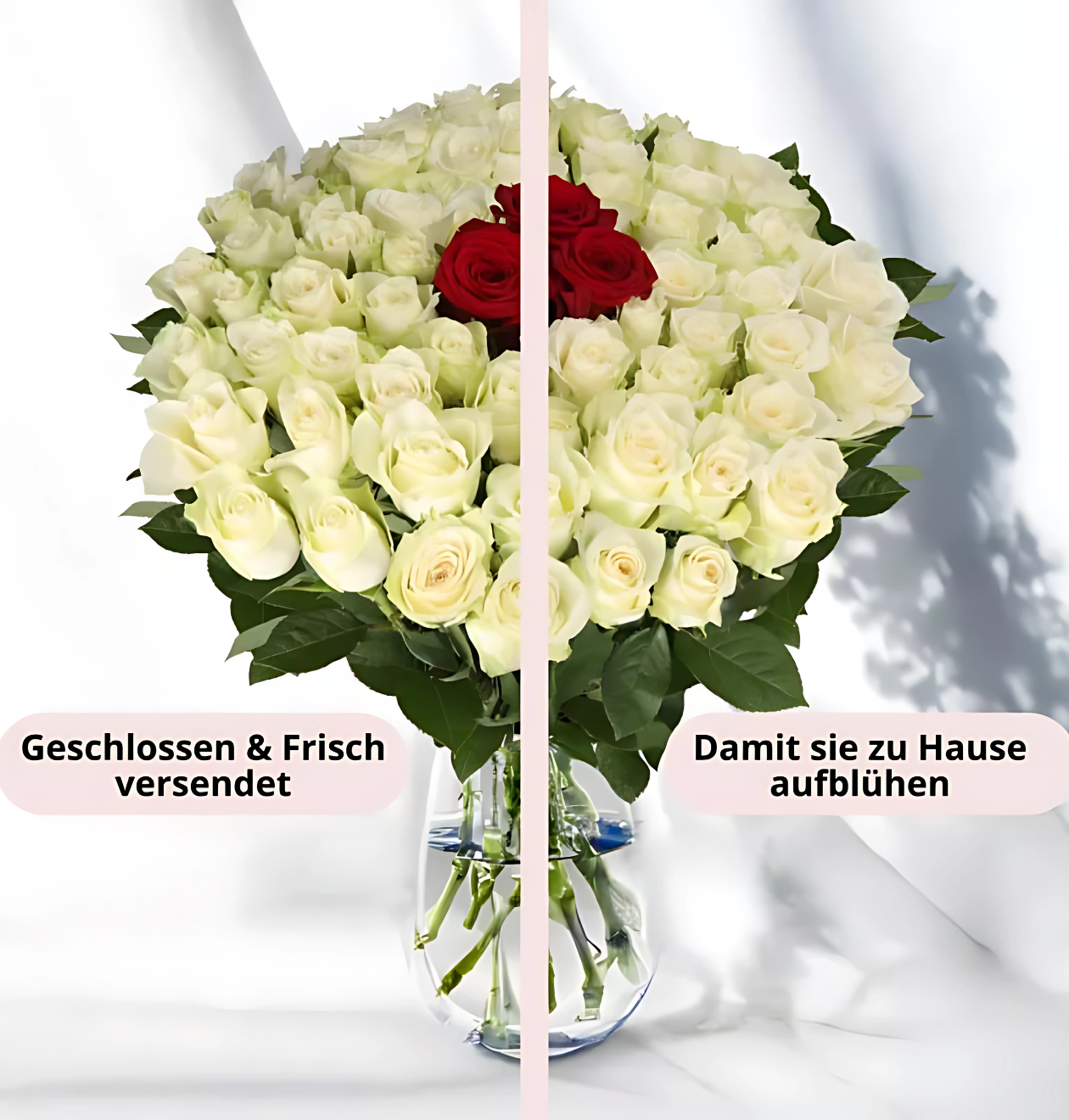 10 Rosen - “Nordlicht” 40 Rosen - “Nordlicht”