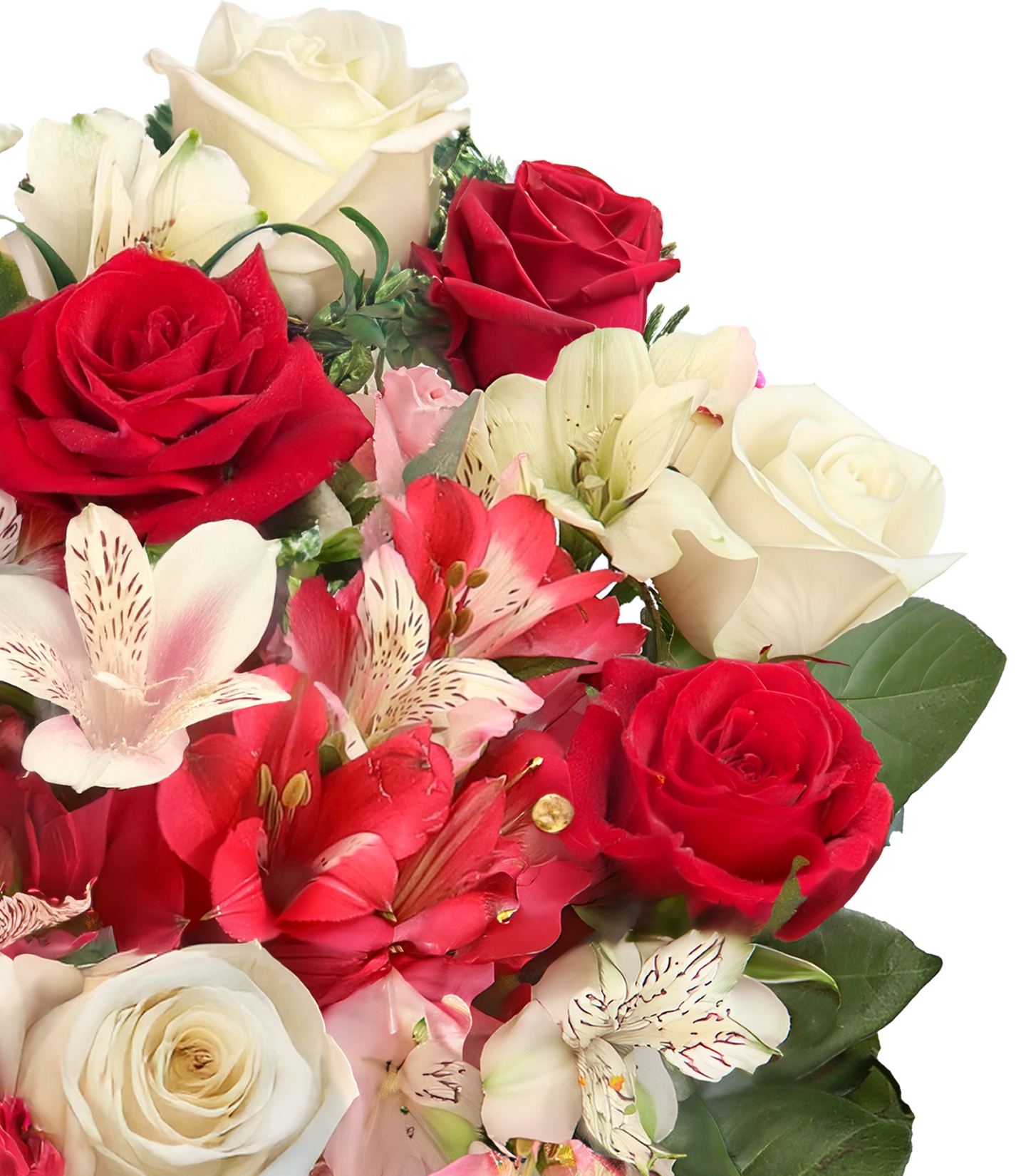 Wonderwoman mit bis zu 40 Blüten  Wonderwoman mit bis zu 40 Blüten